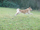 Click here to see the picture (Arko (10).jpg)